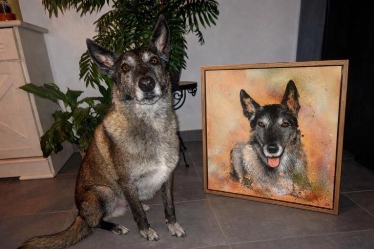 portrait animalier sur commande